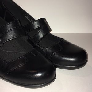 clarks ingalls siene